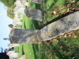 image number C8_220
